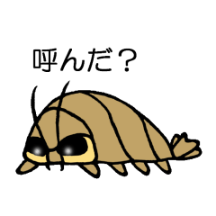 オオグソクムシ