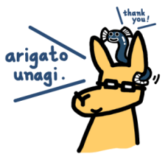 カンガルー先輩