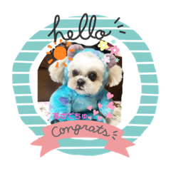 ももちぇるとまろんちぇる伝言板