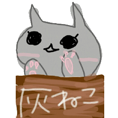 灰ねこたん。