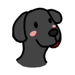 黒ラブちゃんのデイリーライフ！