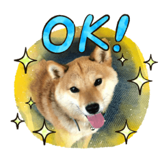 柴犬 チェリー＆元二郎のスタンプ③