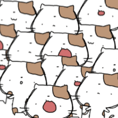 あわにゃふぁ 5