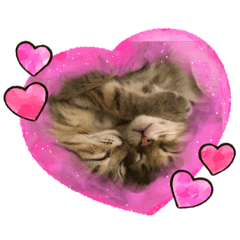 ♡可愛い子猫スタンプ♡  麦ちゃんと玄くん