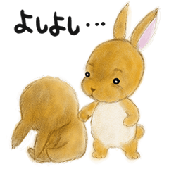 可愛いうさぎちゃん! USAGI!