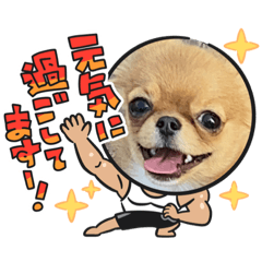 可愛イッヌスタンプ