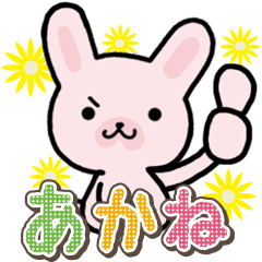 ハムうさ あかね用