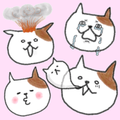 みけにゃん時々リアル