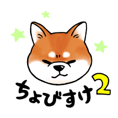 柴犬ちょびすけ2