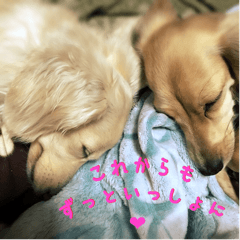 Mダックス ルチアとプリモ＆イリアスタンプ