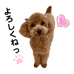 カトりんの日常♪④