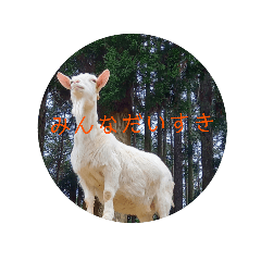 ピクニカスタンプ