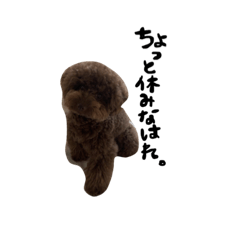 ぷくこれくしょん