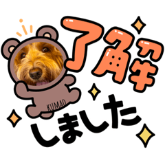 お友達♡くまおさん