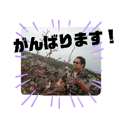 ヤシガニと三線生活