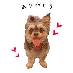 まろ子スタンプ