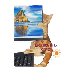 知り合い猫ちゃんの一日