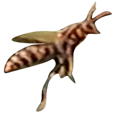 庭のあしながバチ