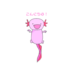 色んな色のウーパールーパー