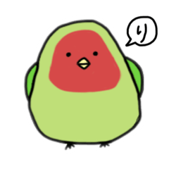 バードさんの日常