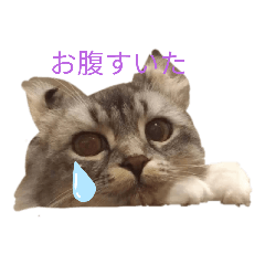 しめさぬスタンプ