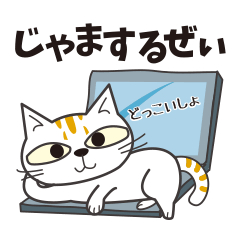 ニャまい気ニャンコ