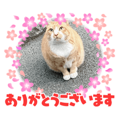 ちくわちゃんのユルカワスタンプ