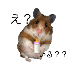 オリジナルペッツ