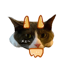 ゴマるんと日常（再販）