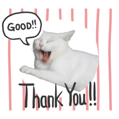 にゃ〜んだと！スタンプ