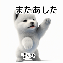 サモエド犬 _Ps
