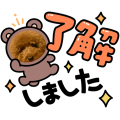 トイプーみんとのスタンプ