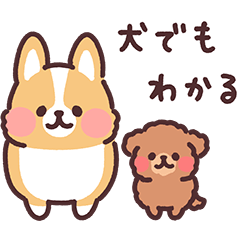 まるまるコーギー26 犬用