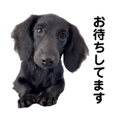 私の家族♡my fam