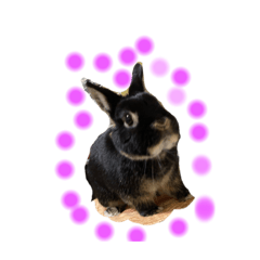 ハッピーななかま2