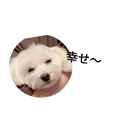 ラブたんの一日♡