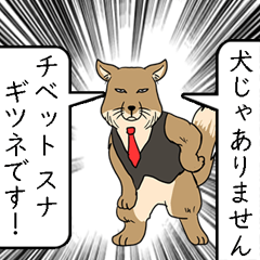 チベットスナギツネです！