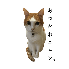 乙女ちゃんスタンプ2-Otomechan-Sticker2-