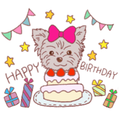 りぼんが好きなヨーキーのだっぴー