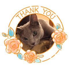 ワコとタラとふぅとミィとラミとちゃーぼう