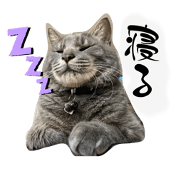 ねこ好きさん用