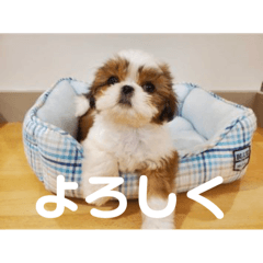 バンディットパン屋②