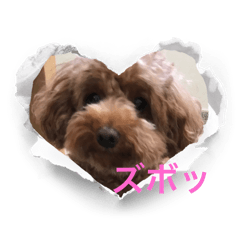 むぎたん　　スタンプ