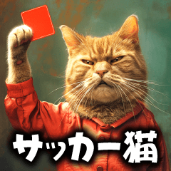 サッカー猫で伝えよう！！