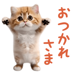 踊る！ダンス猫