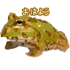 釣り人と仲間たち