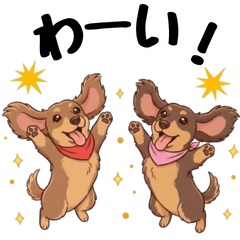 Daily Chocotan Dachshund