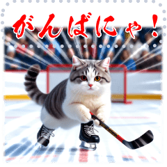 書き込める!!冬♥スポーツねこ