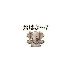 Yoga Elephant Daily