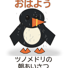 ツノメドリの朝あいさつ